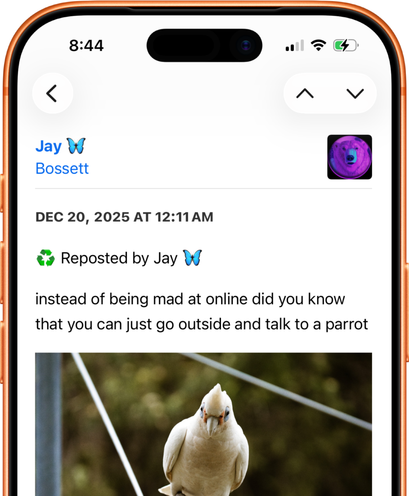 Screenshot of a Bluesky repost rendered in a feed reader